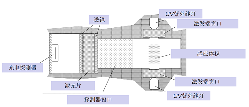 sea圖片2.png